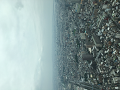 IMG_1313_thumb.png