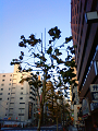 NEC_3030_thumb.png