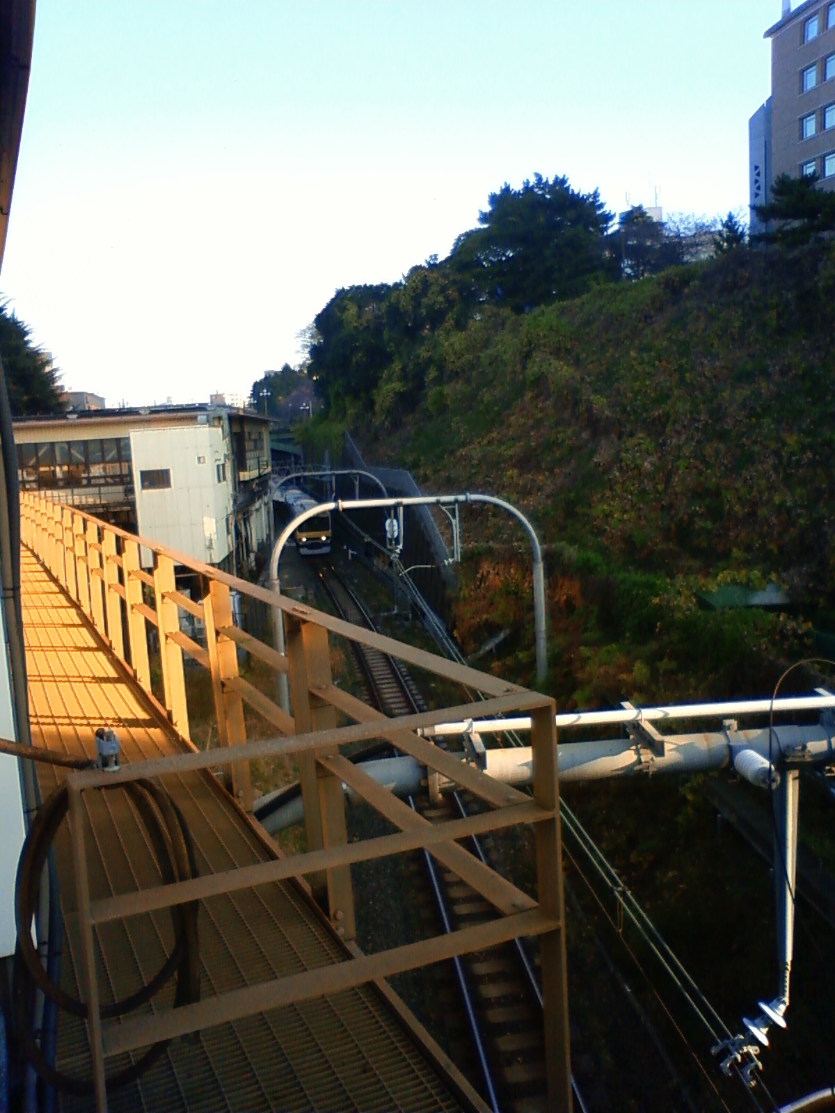 NEC_3034.JPG