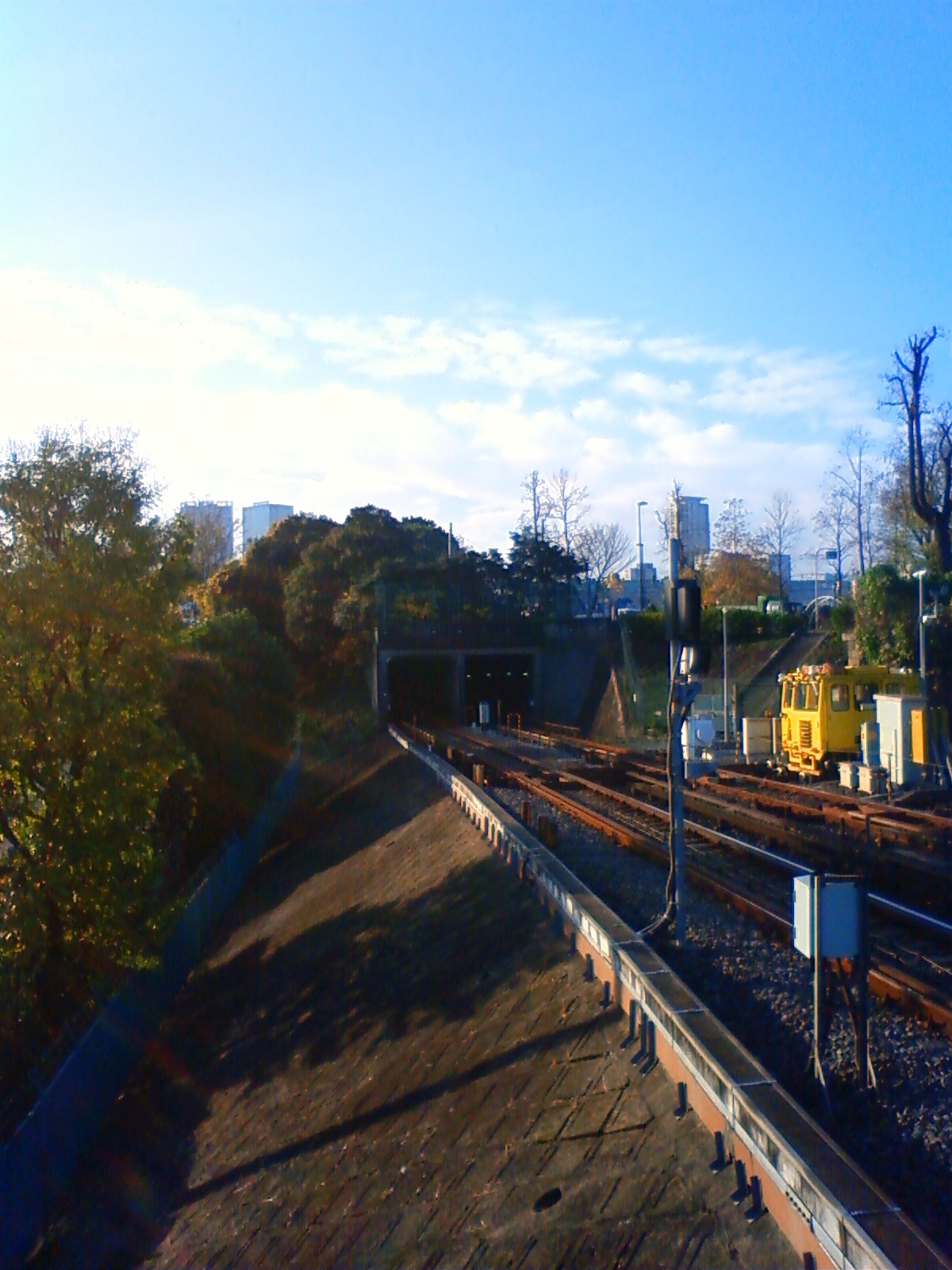 NEC_3036.JPG