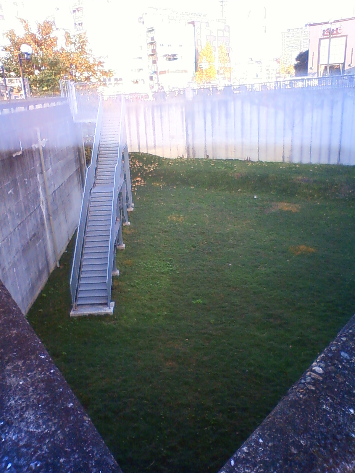 NEC_3039.JPG