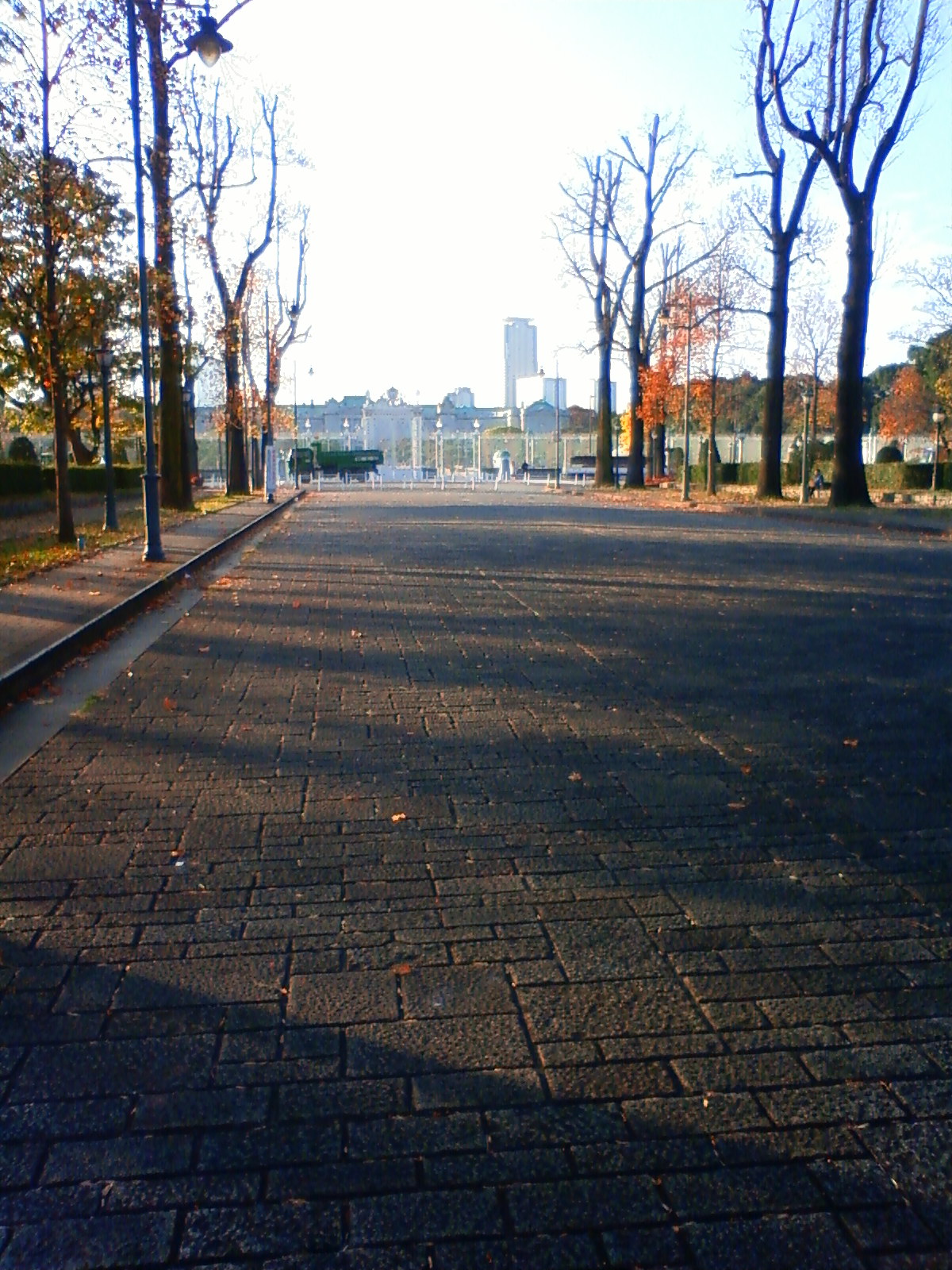 NEC_3048.JPG