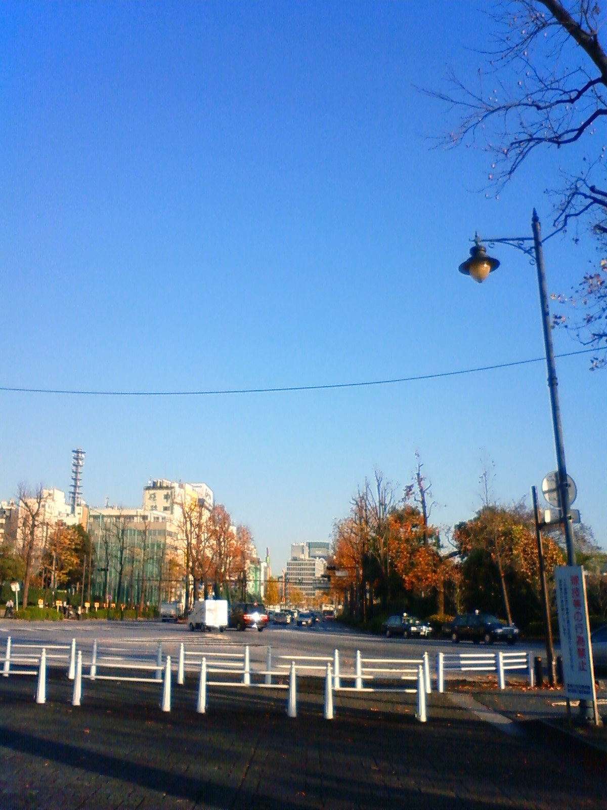 NEC_3049.JPG