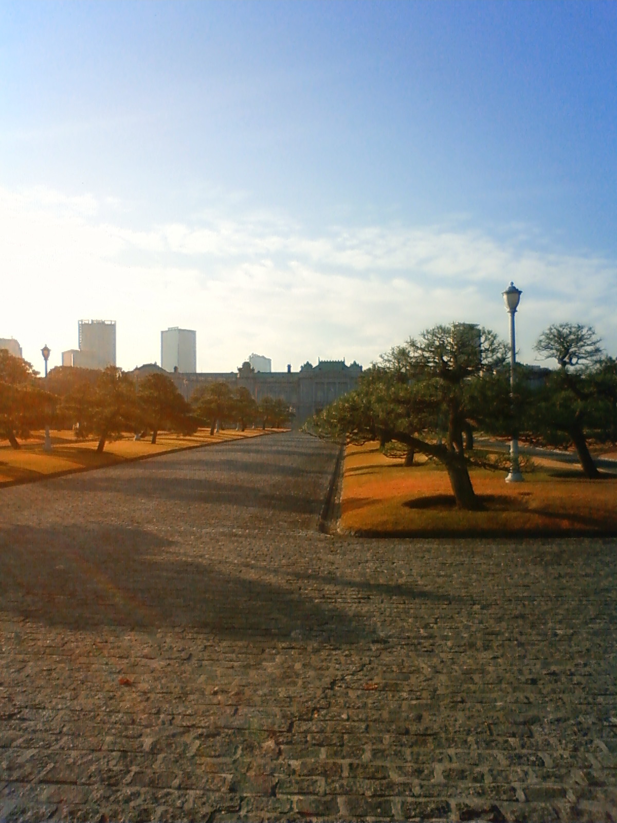 NEC_3051.JPG
