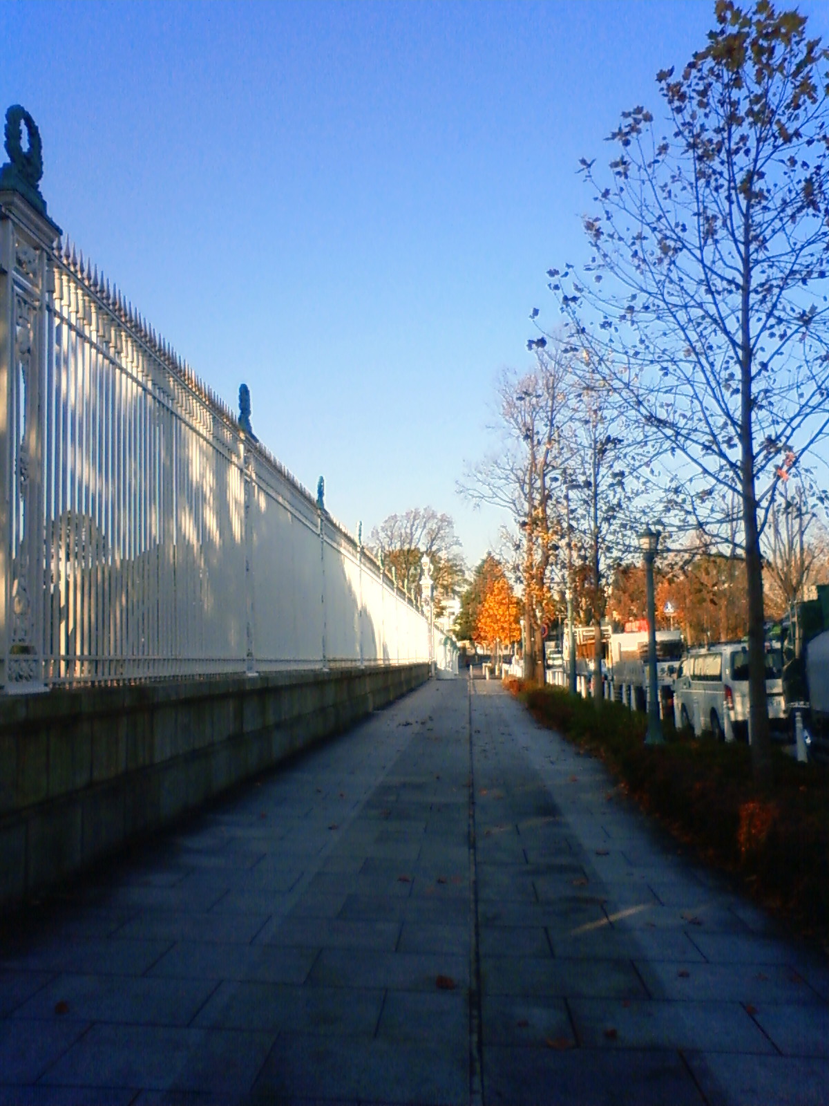 NEC_3058.JPG