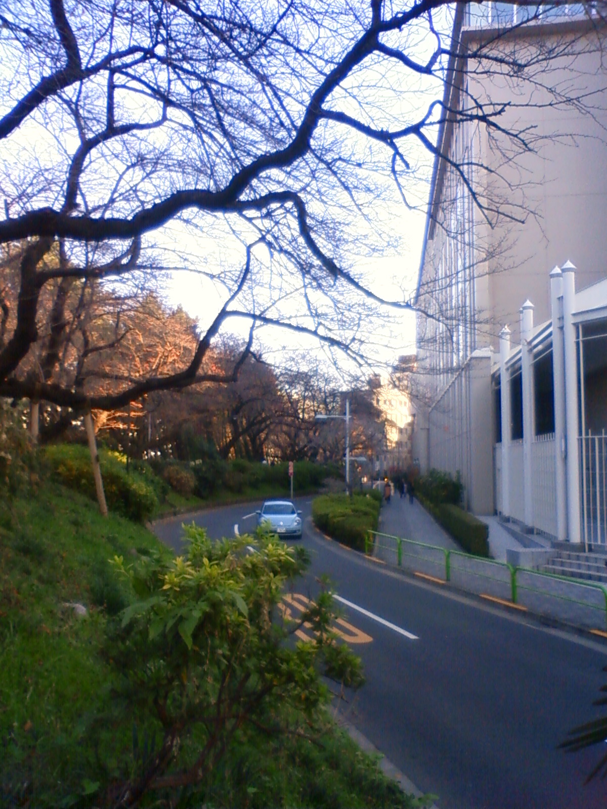 NEC_3065.JPG