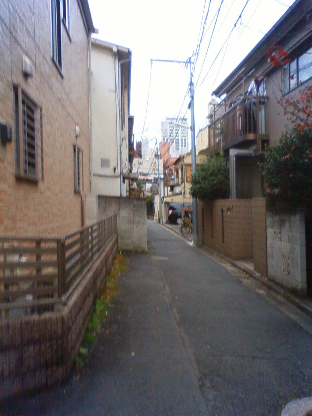 NEC_3081.JPG