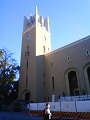 NEC_3127_thumb.png