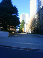 NEC_3128_thumb.png