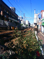 NEC_3142_thumb.png