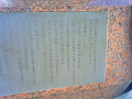 NEC_3154_thumb.png