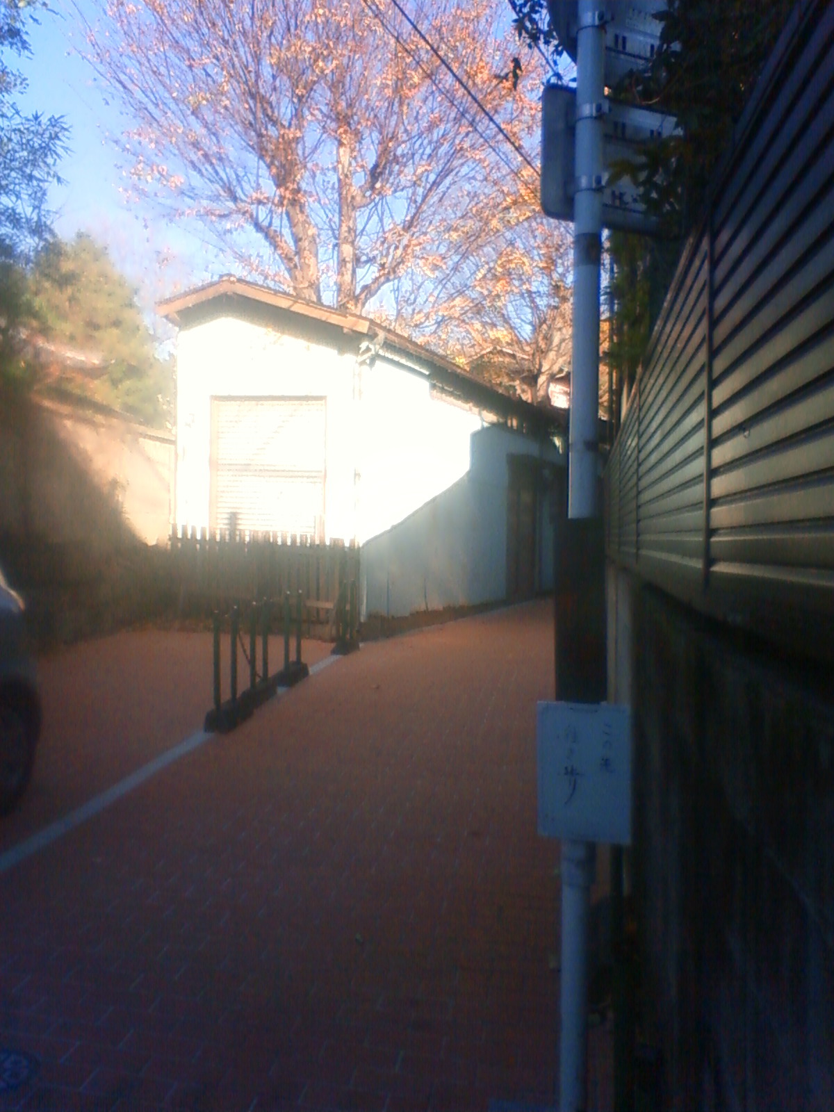 NEC_3202.JPG