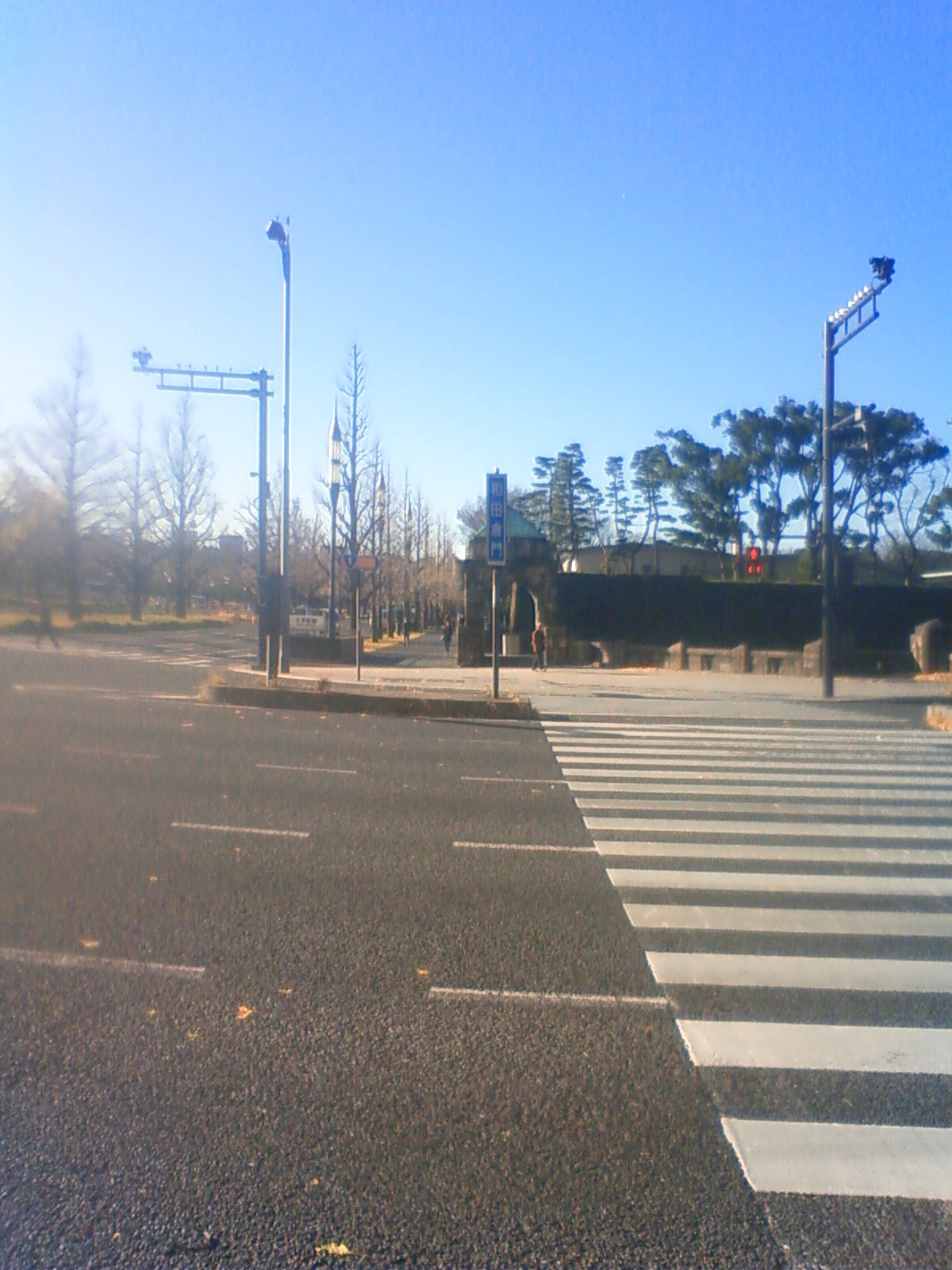 NEC_3210.JPG