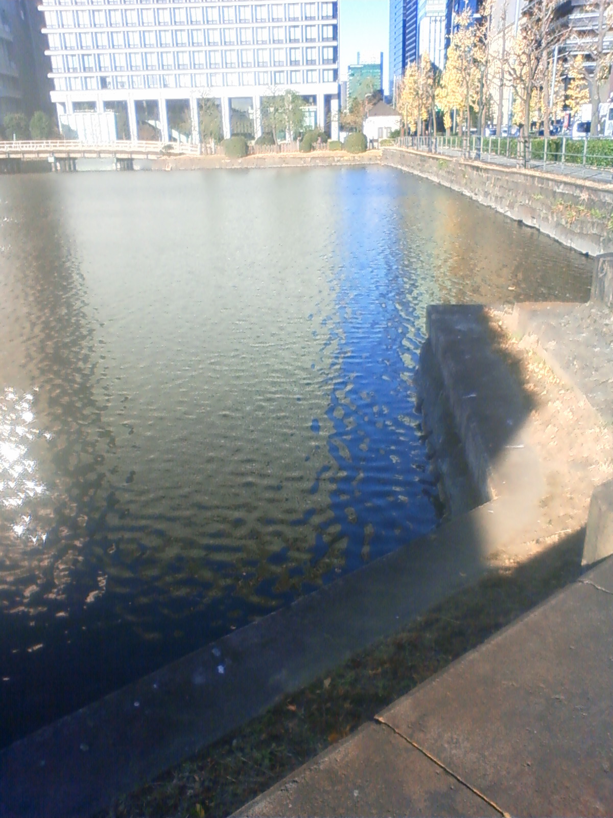 NEC_3212.JPG