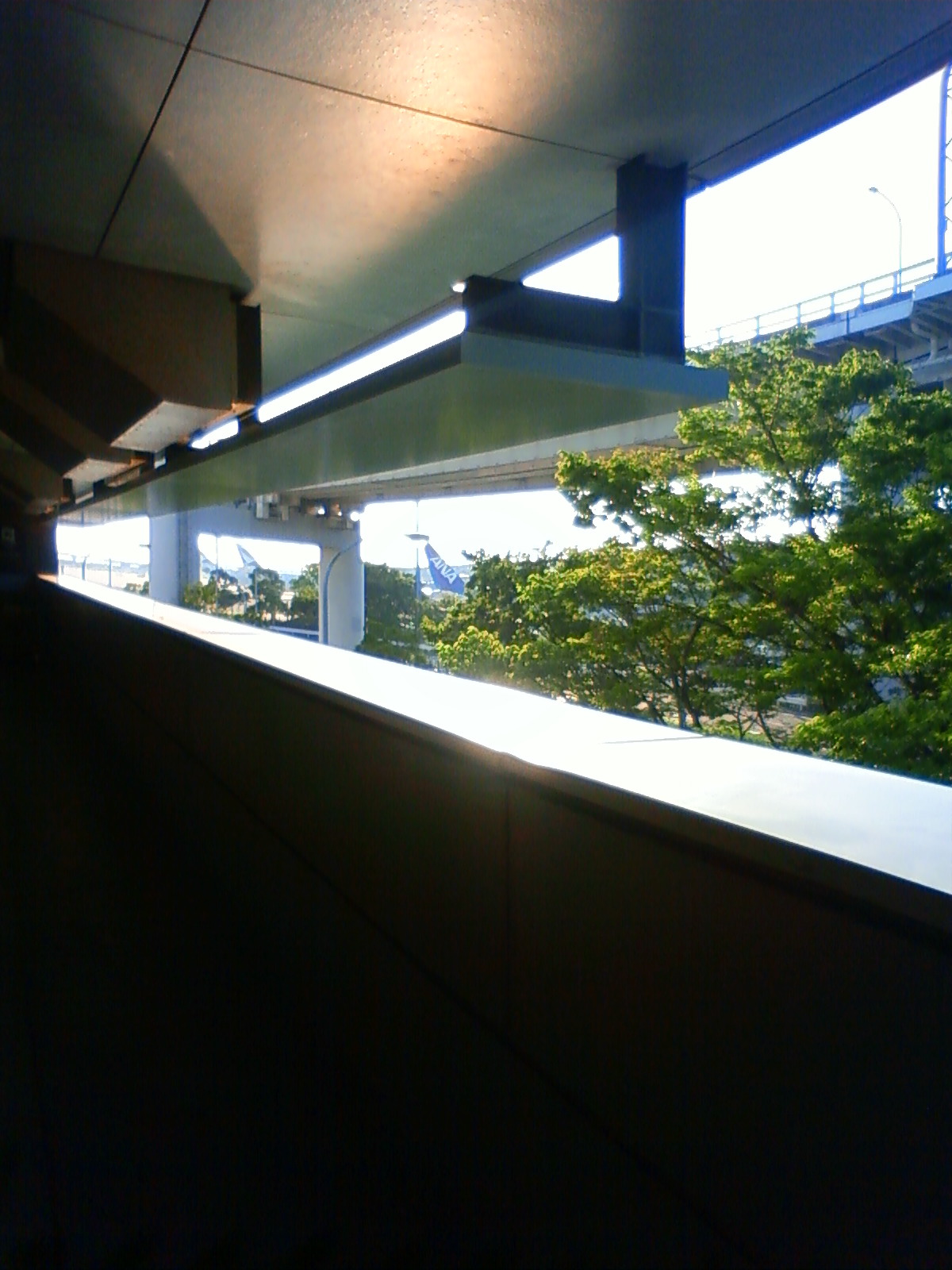 NEC_0546.JPG