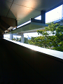 NEC_0546_thumb.png