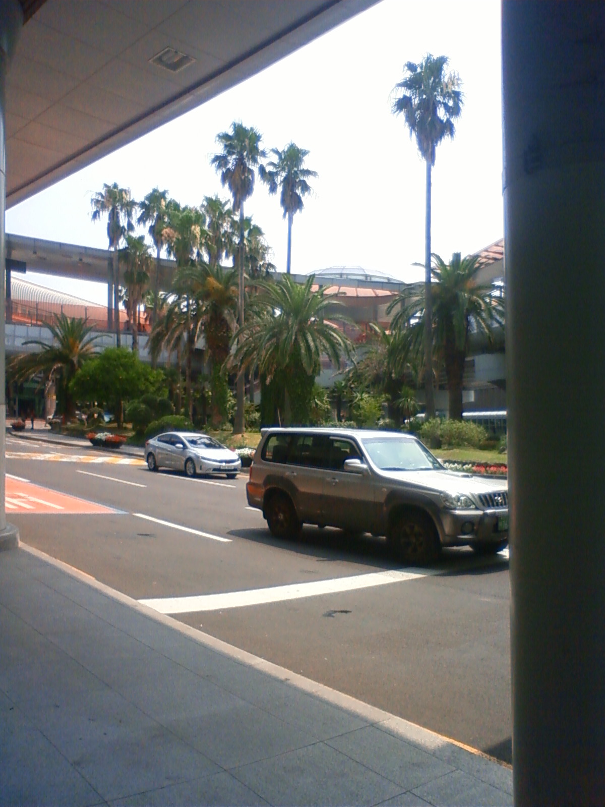 NEC_0559.JPG