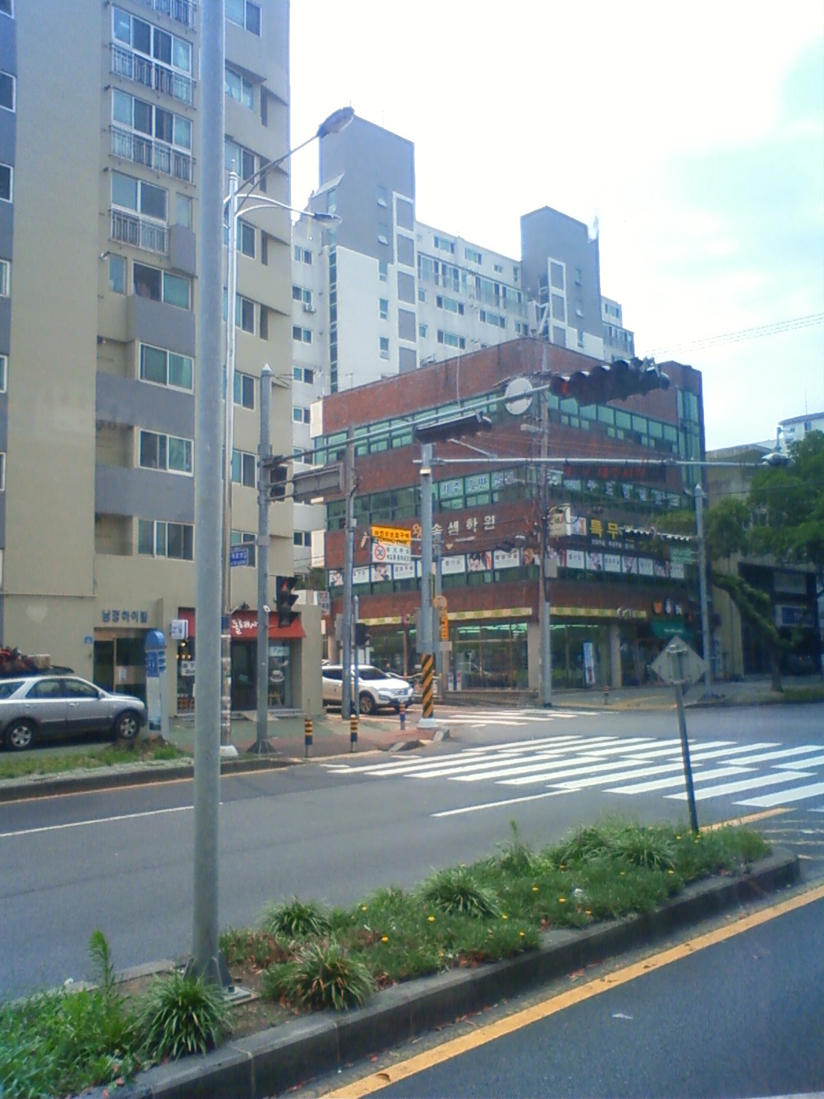 NEC_0573.JPG