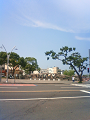 NEC_0595_thumb.png