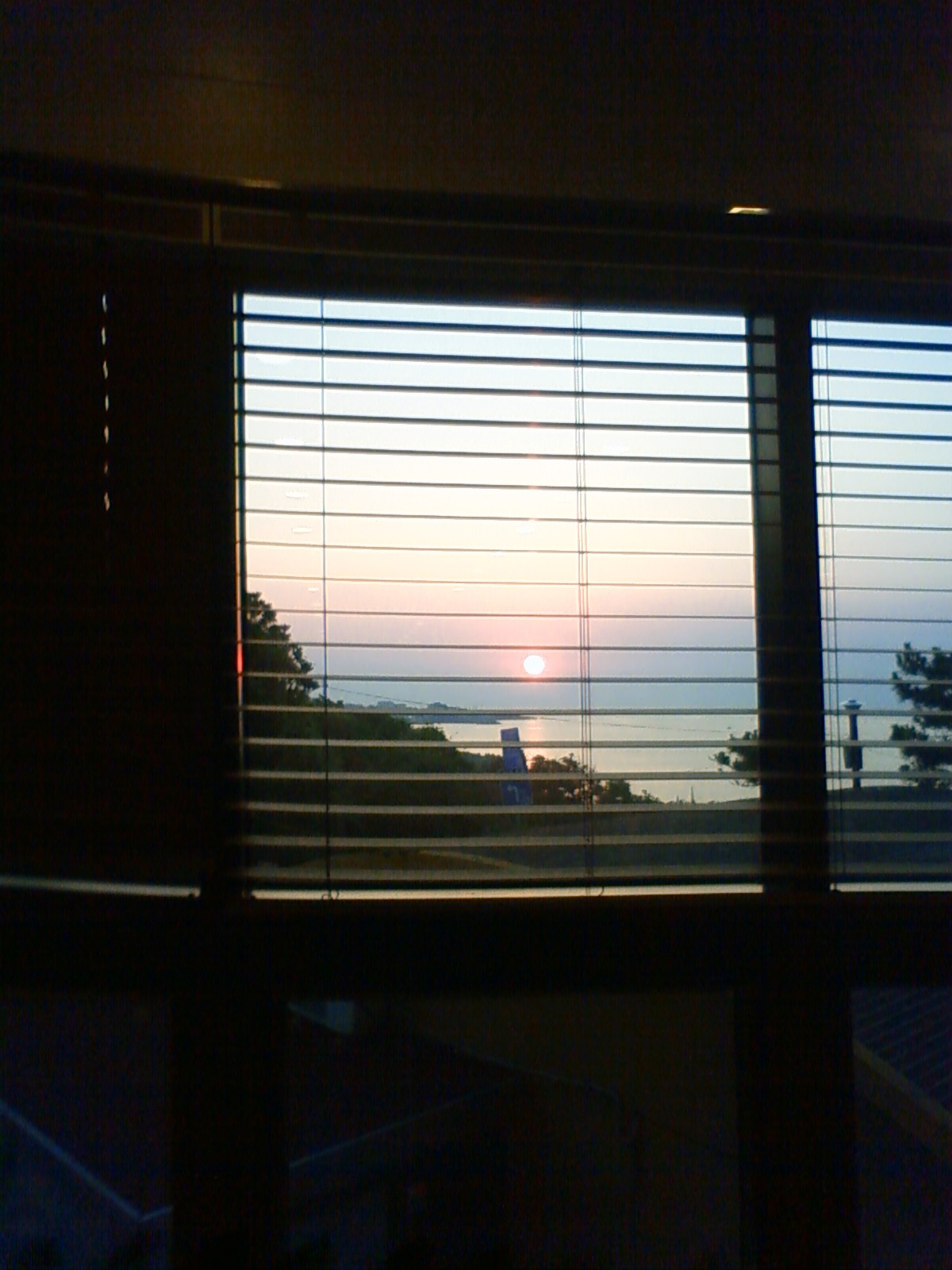 NEC_0601.JPG