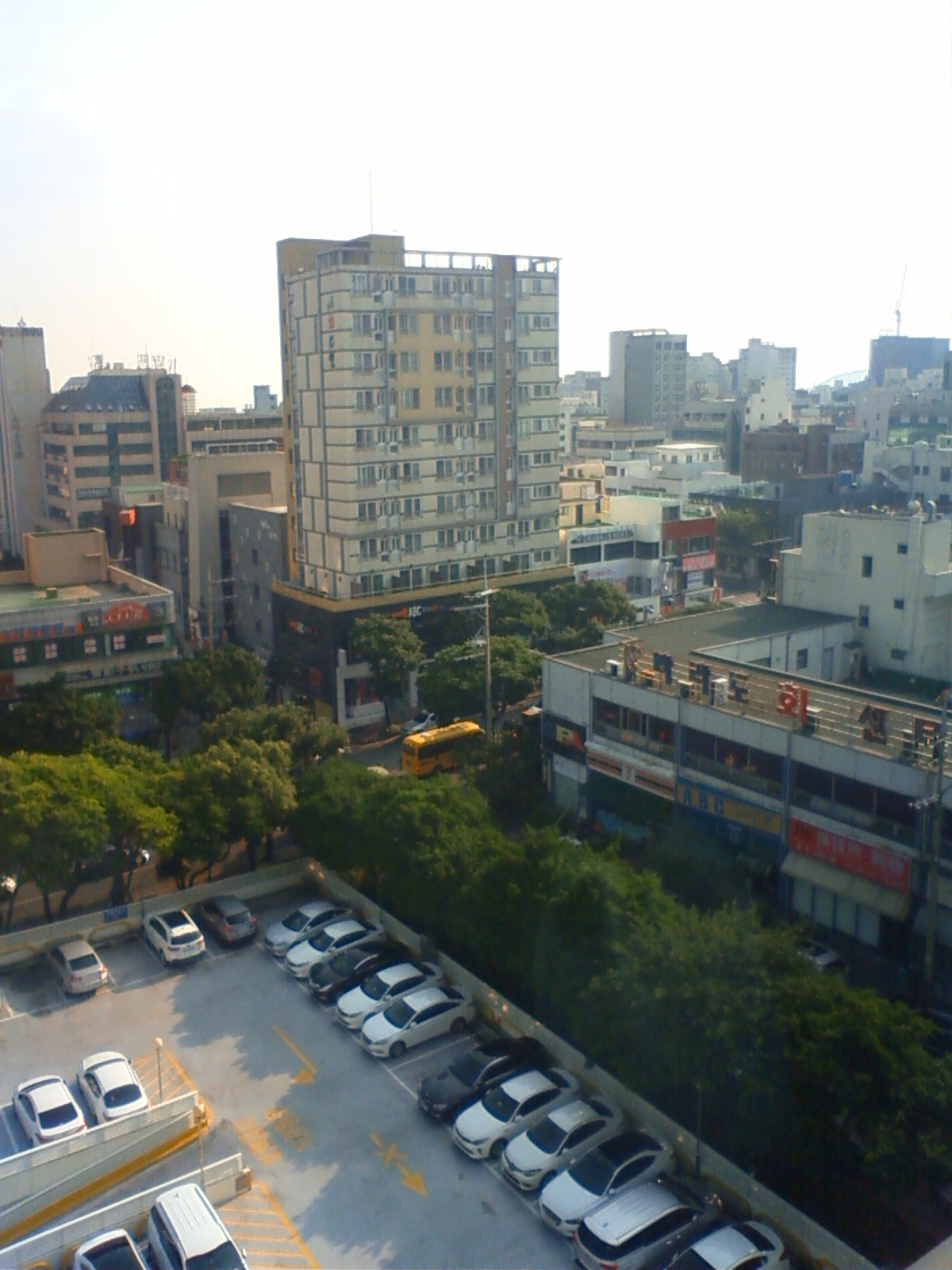 NEC_0607.JPG