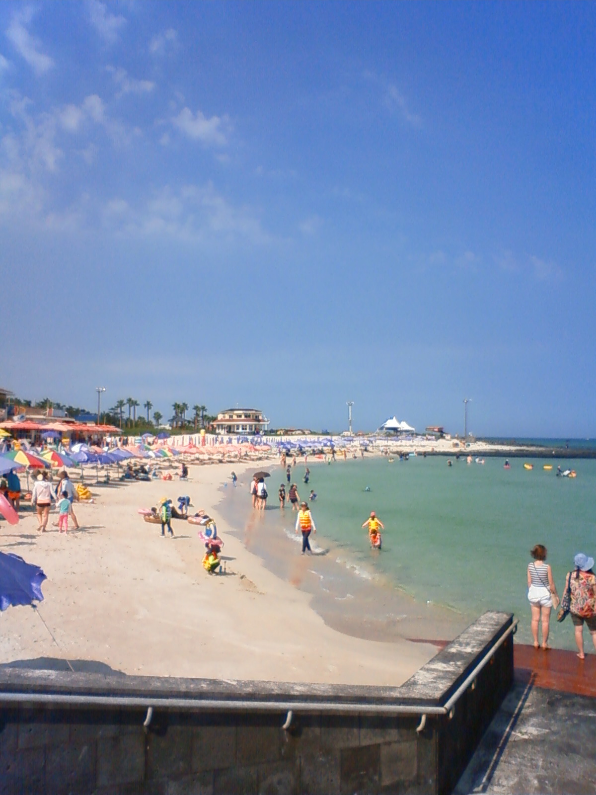 NEC_0613.JPG