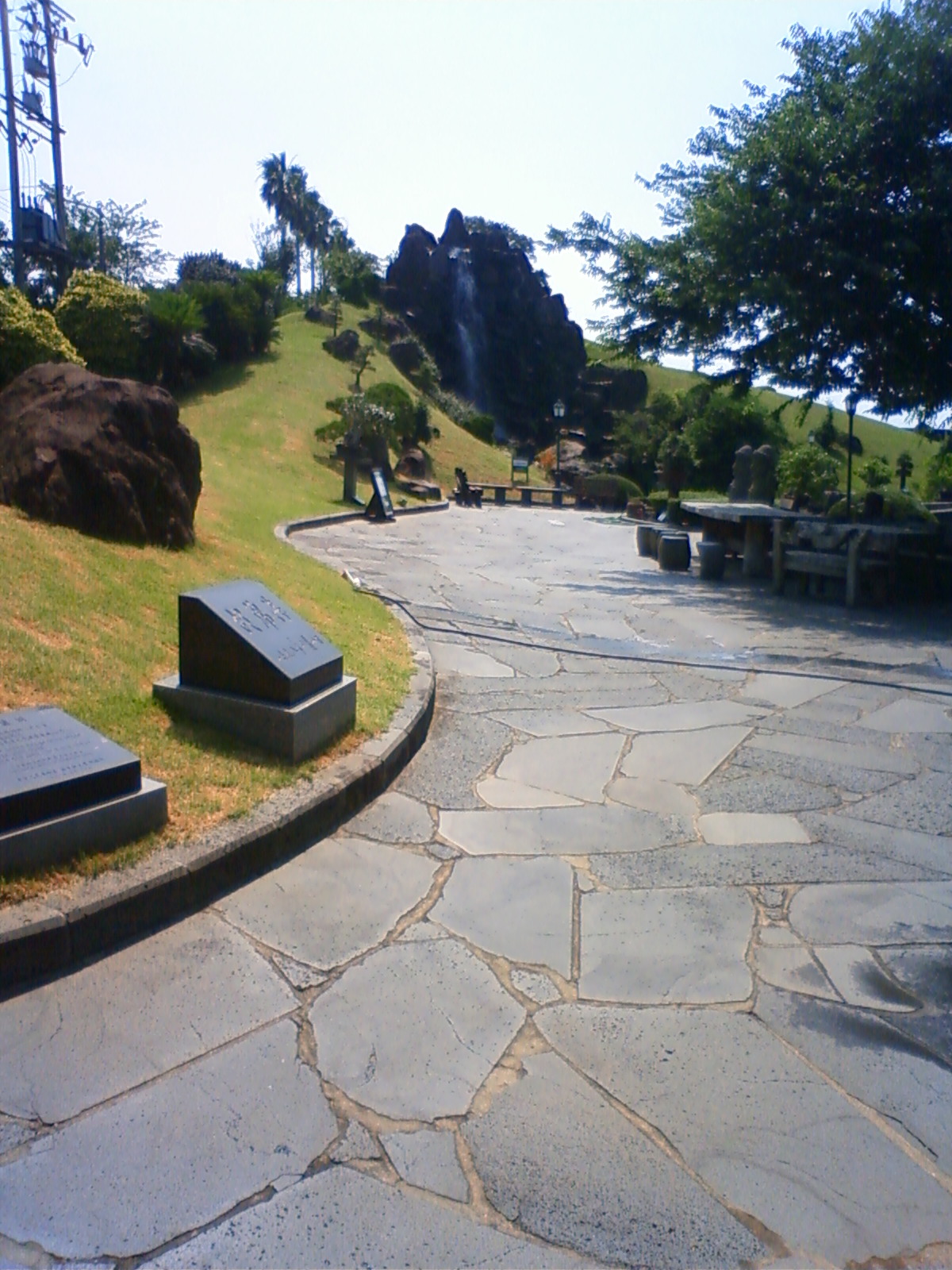 NEC_0626.JPG