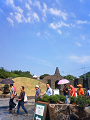NEC_0627_thumb.png