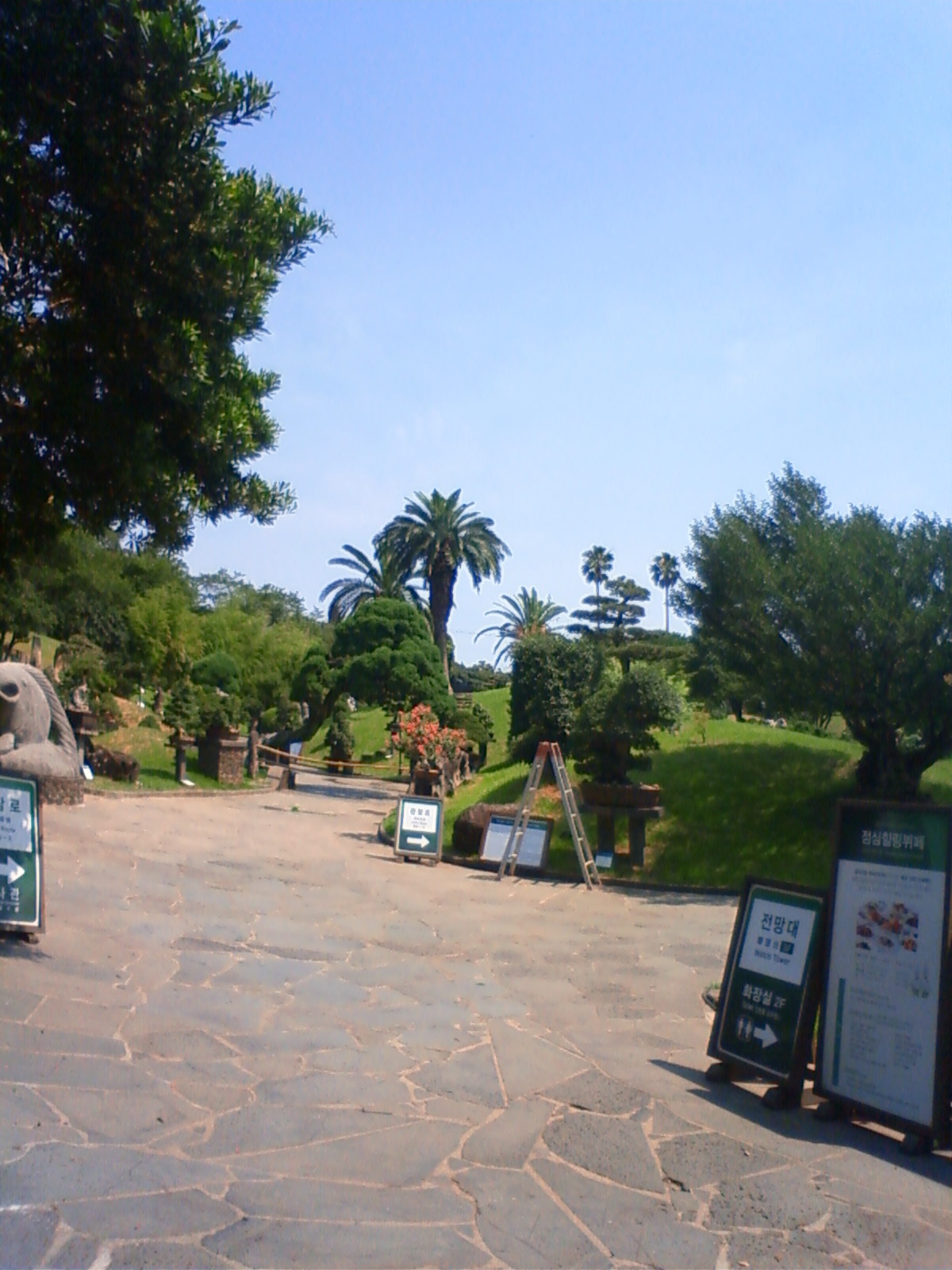 NEC_0631.JPG