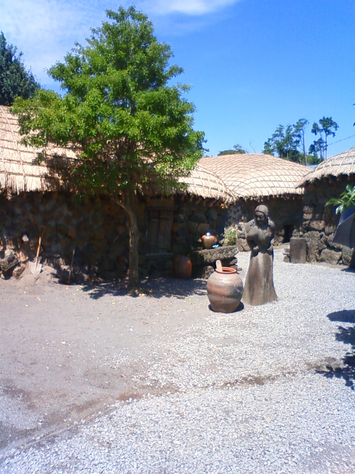 NEC_0642.JPG
