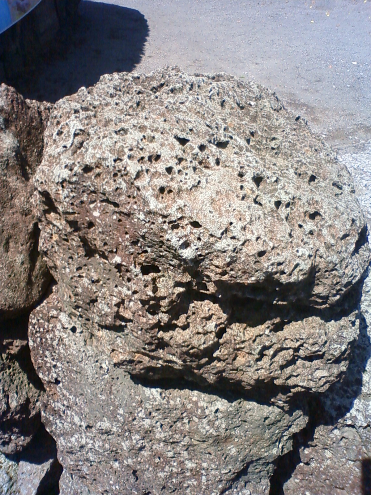 NEC_0643.JPG