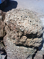 NEC_0643_thumb.png