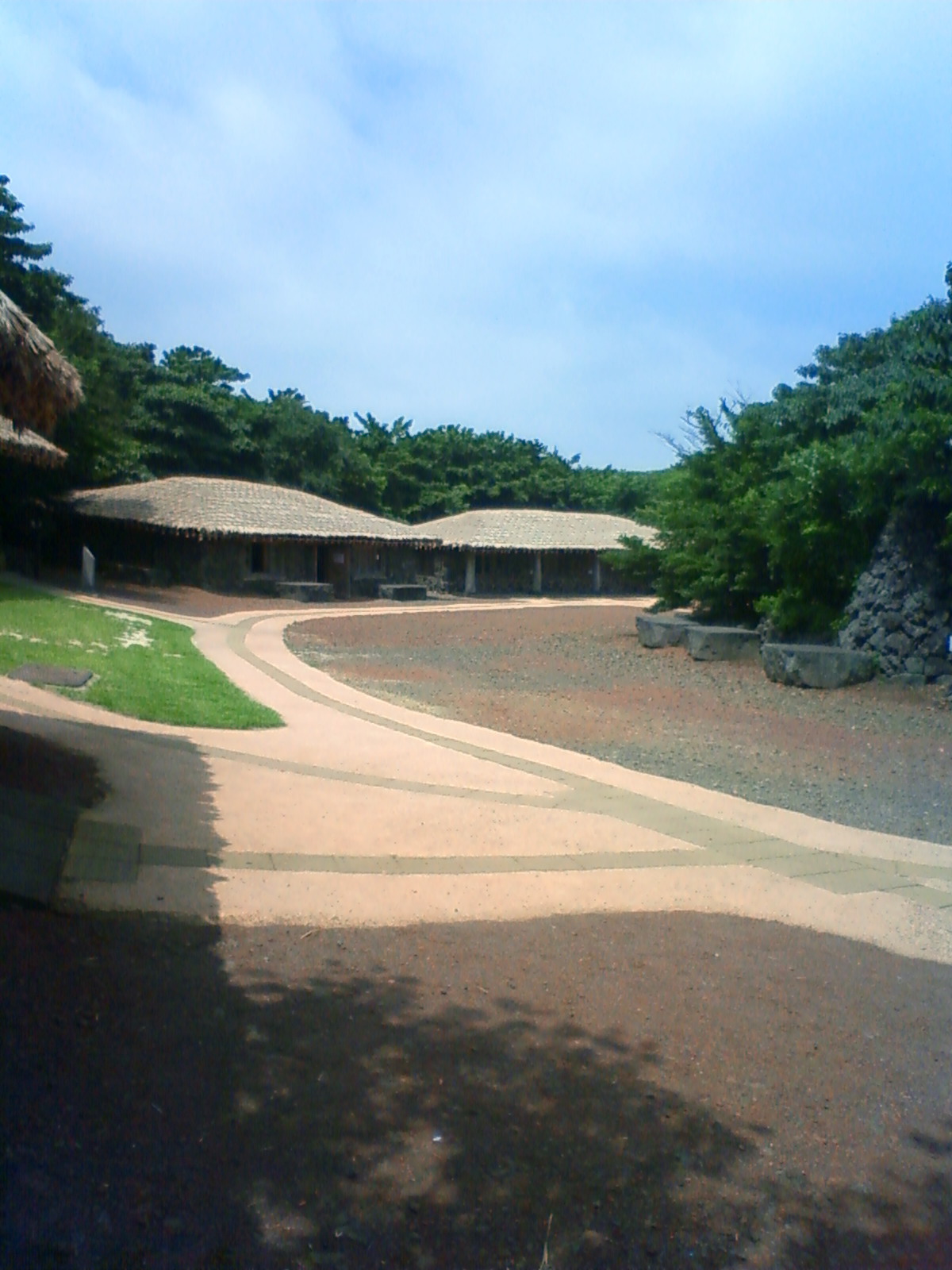 NEC_0651.JPG