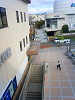 NEC_0704_thumb.png