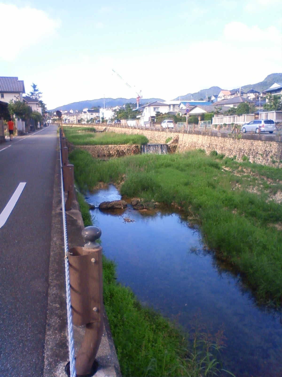 NEC_0709.JPG