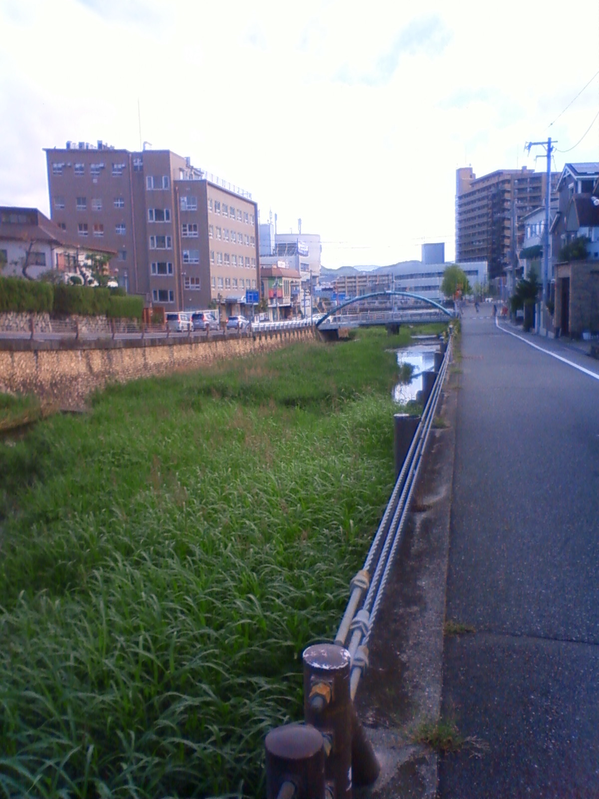 NEC_0711.JPG