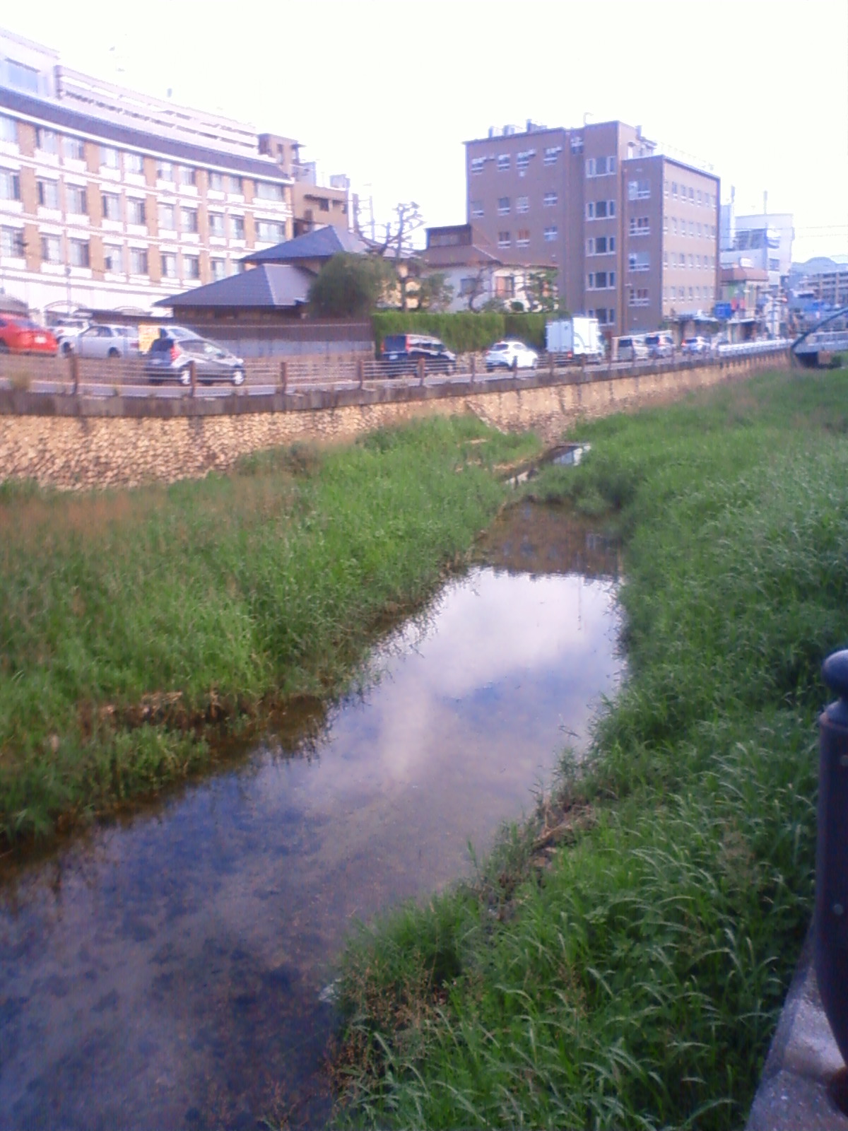 NEC_0712.JPG