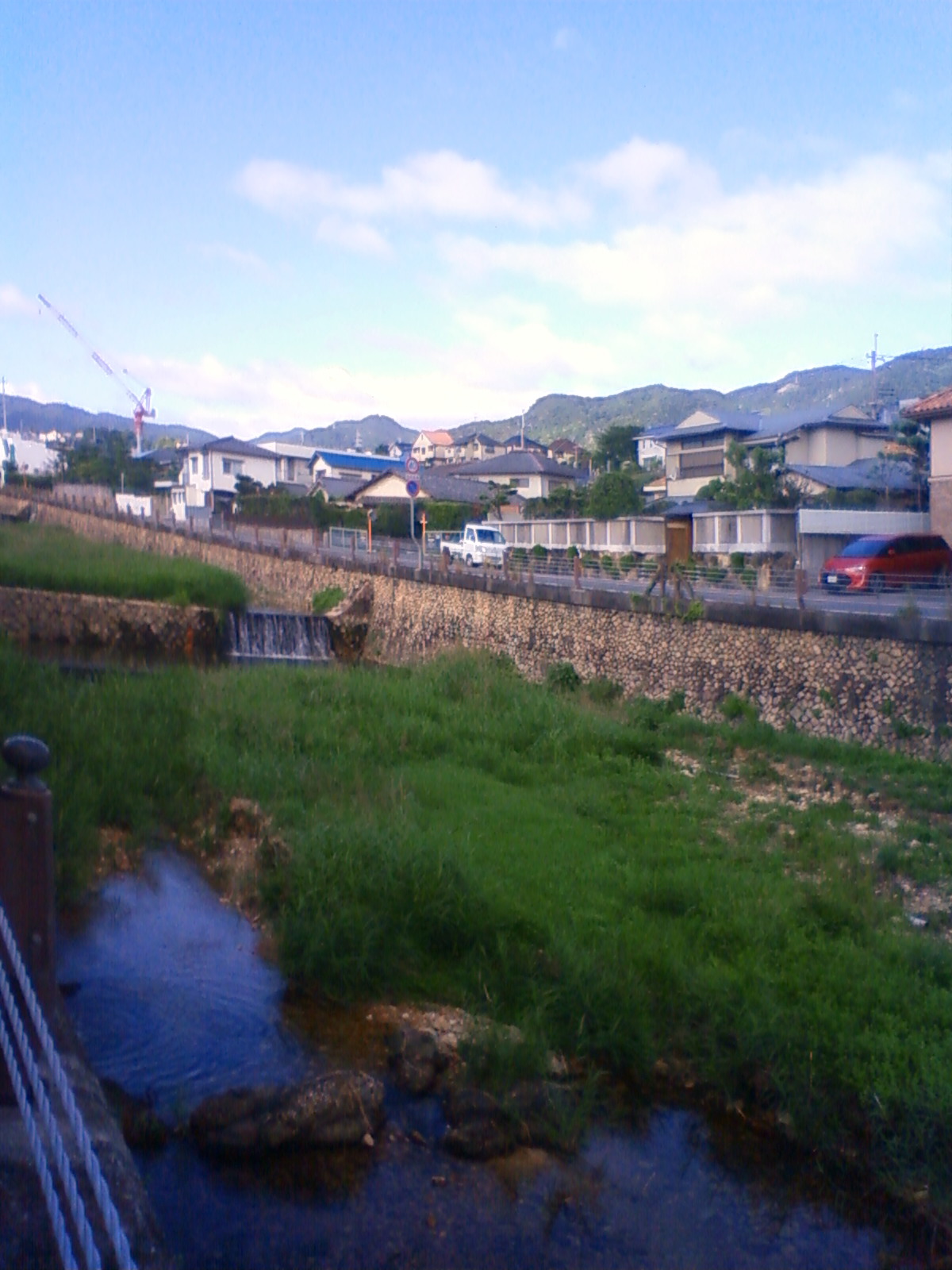 NEC_0713.JPG