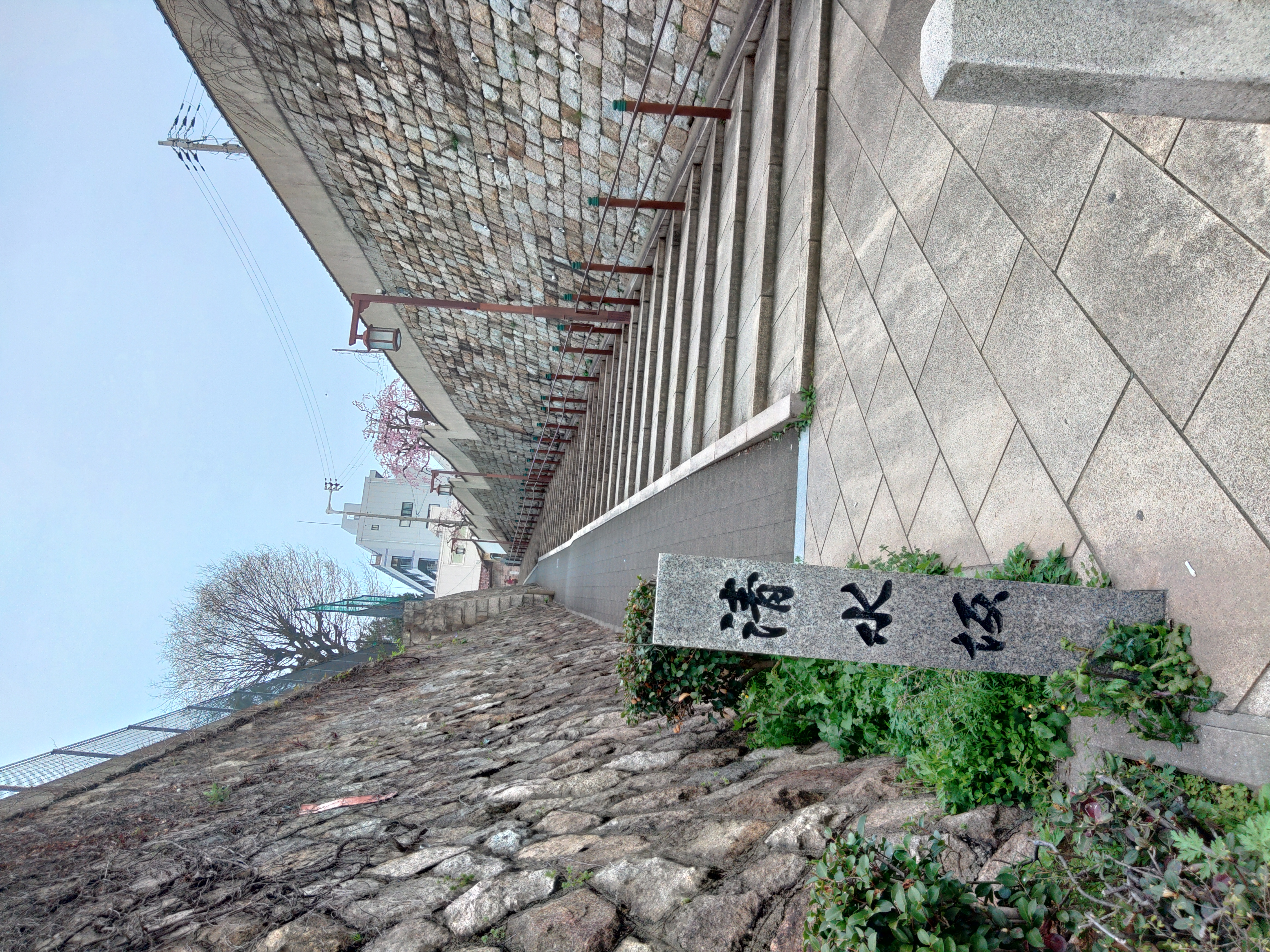 KIMG0015.JPG