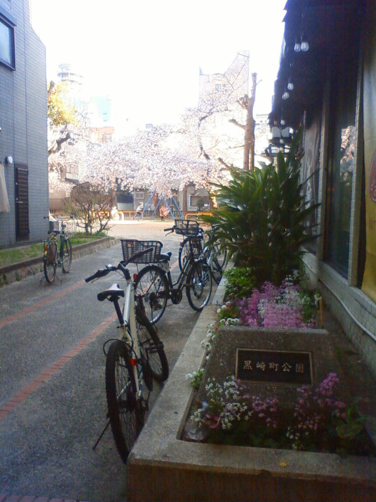NEC_2038.JPG