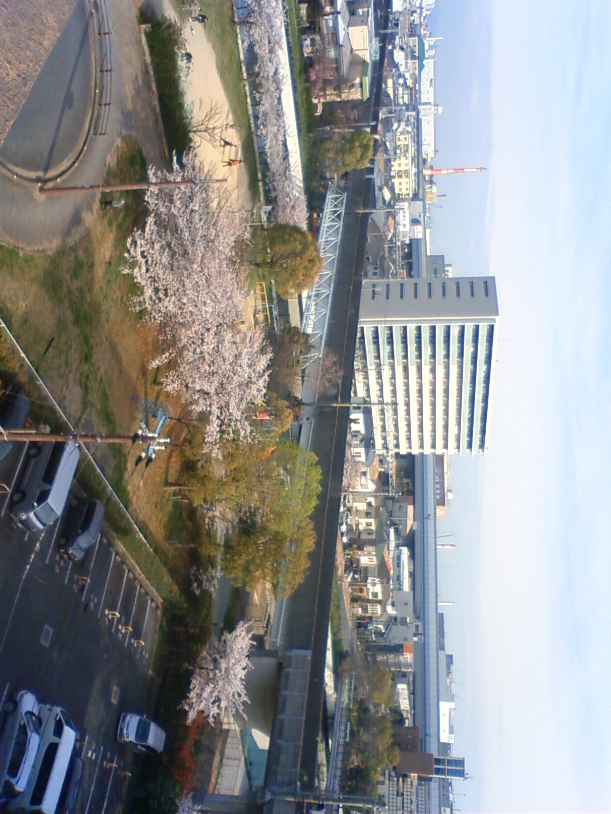 NEC_2040.JPG