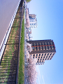 NEC_2045_thumb.png