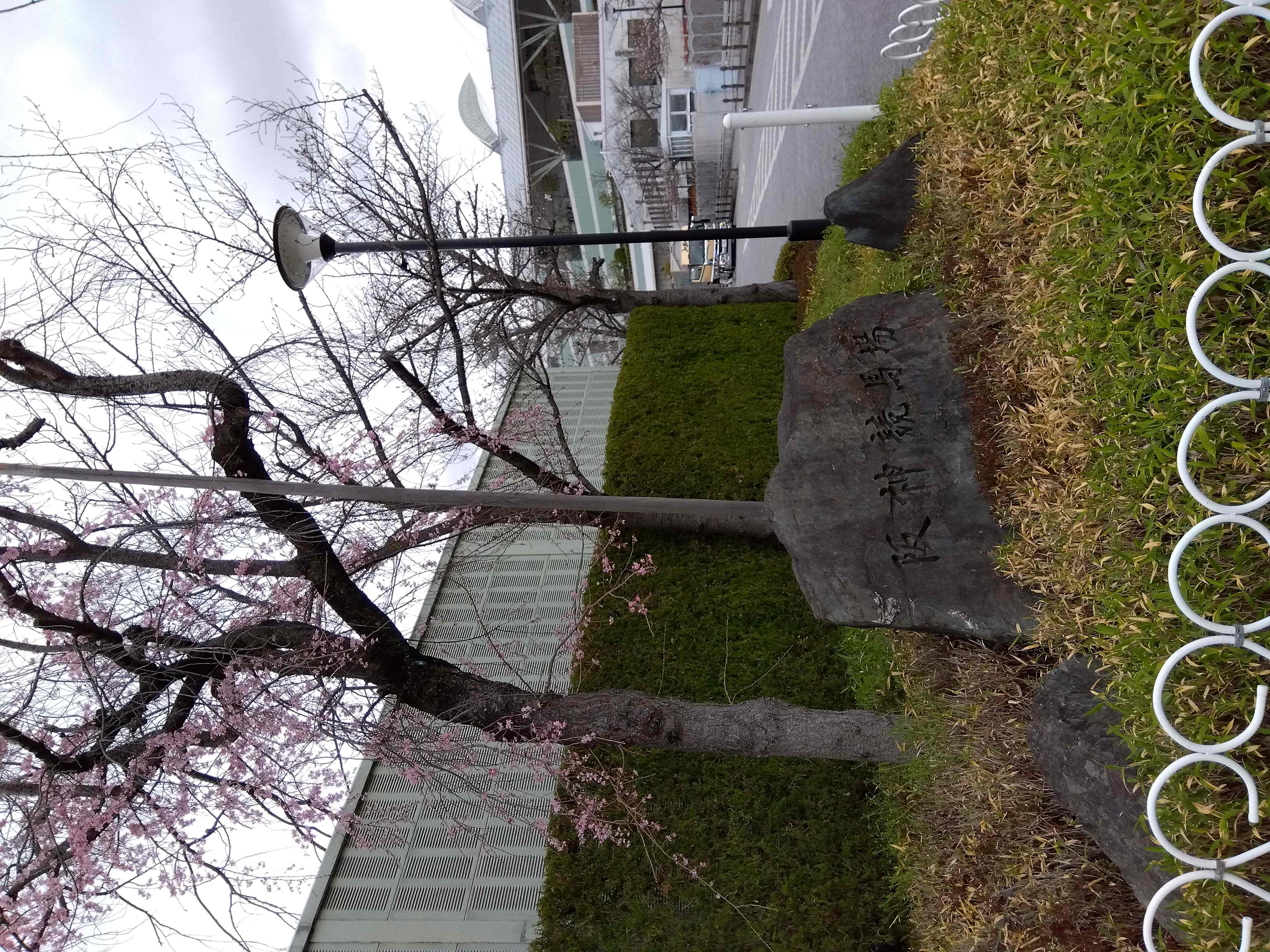 IMG_2023-03-24-12-52-13-669.jpg