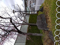 IMG_2023-03-24-12-52-13-669_thumb.png