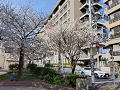 IMG_2023-03-27-15-36-07-641_thumb.png