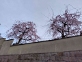 IMG_2023-03-27-17-20-43-016_thumb.png