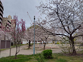 IMG_2023-03-27-17-26-02-342_thumb.png