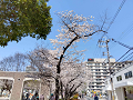 IMG_2023-03-28-12-38-17-828_thumb.png