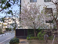 IMG_2023-03-30-09-13-19-262_thumb.png