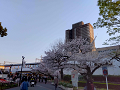 IMG_2023-03-31-17-45-19-502_thumb.png